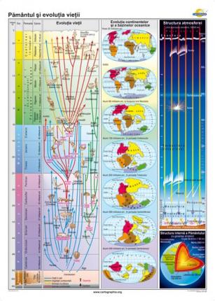 Pământul şi evoluţia vieţii- 1400x1000 mm