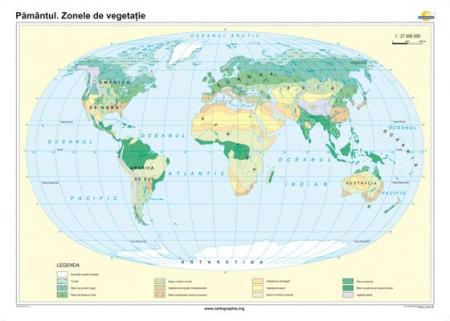 Pământul: Zone de vegetaţie -1400x1000 mm