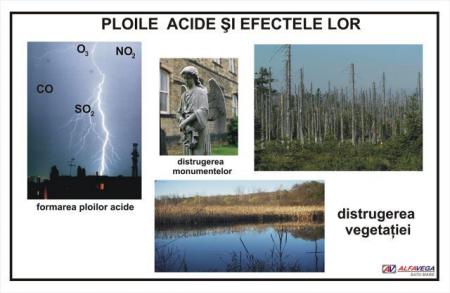 Ploile acide şi efectele lor - dim. 1100x800 mm