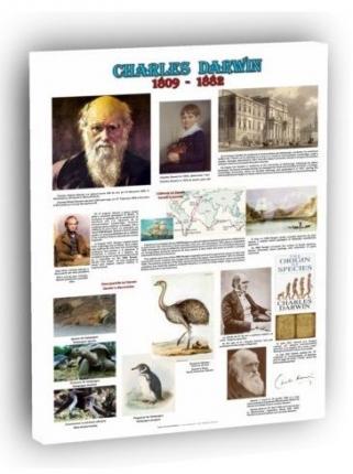 Charles Darwin - fondatorul teoriei evolutioniste - dim. 1000x700 mm