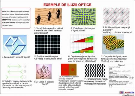 Exemple de iluzii optice- dim. 1100X800 mm